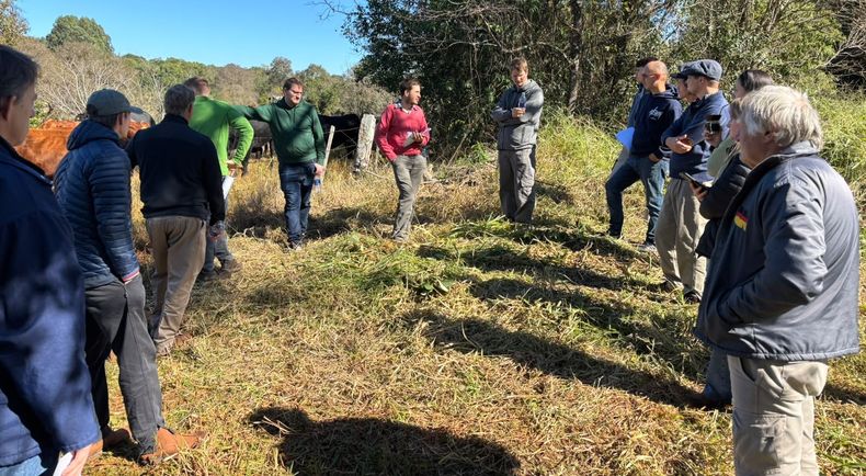 Integrantes del CREA Alto Paraná, en la región Litoral Norte, analizaron las causas de la crisis que atraviesa la yerba mate