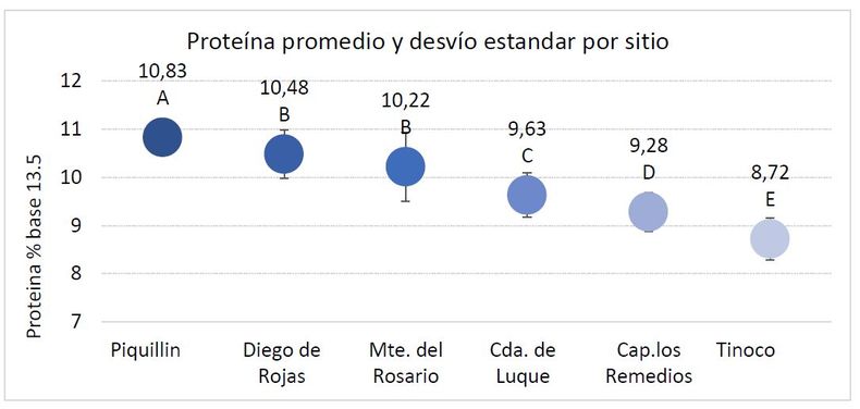 Proteína bruta (base de humedad del 13,5%) por sitio explorado. Ciclo 2025/26. CREA Córdoba Norte