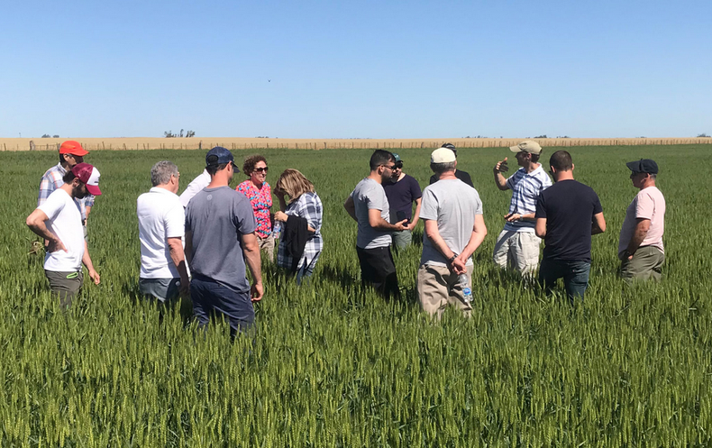 Gestionar2.PNG