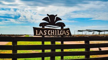 las chilcas: economia circular y agricultura sostenible en el norte cordobes