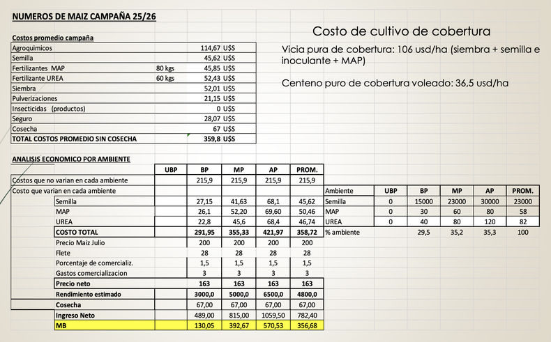 En la campaña 2026/27, el maíz alcanzaría un margen bruto promedio de 360 dólares por hectárea