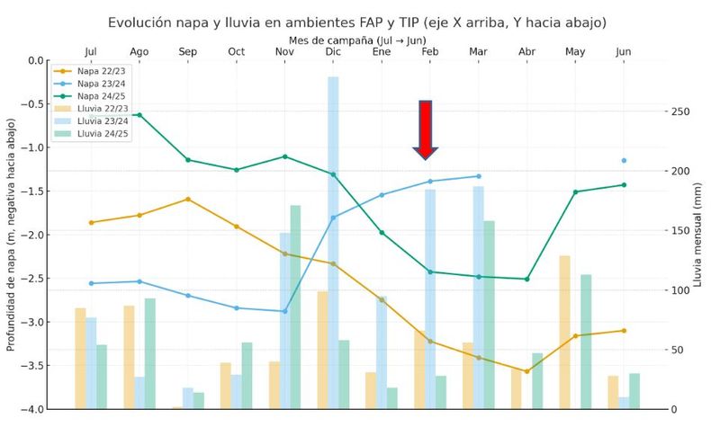 Evolución de la profundidad de la napa freática y de las precipitaciones en San Miguel.