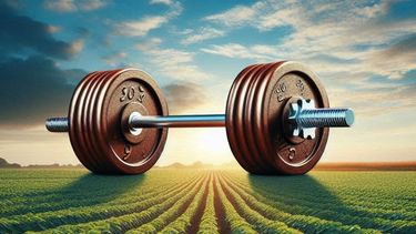 gestion financiera: para entrenar no siempre es indispensable ir al gimnasio