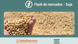 flash de mercados - informe al 28/08/26 - cultivo de soja