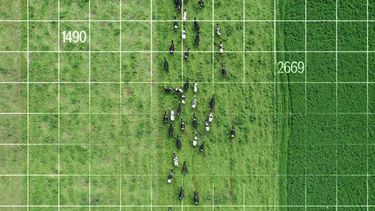 agtech: una solucion integrada para optimizar el uso del pasto