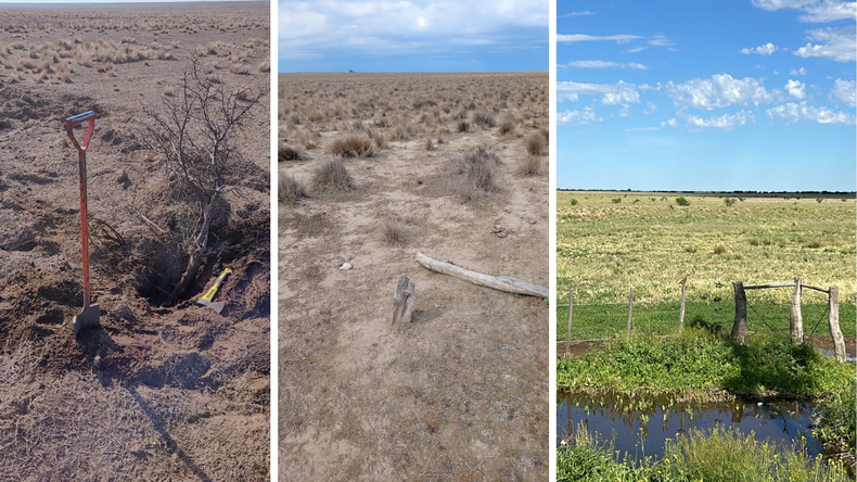 En 2025 la empresa avanzó en un nuevo proyecto agrícola sobre un campo ubicado más hacia el oeste, en una zona límite para la agricultura en secano.