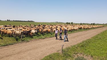 Congreso Lechero CREA: Caminos para achicar la brecha productiva