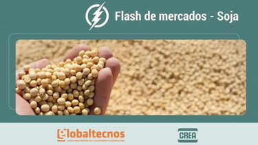 Crea | flash