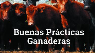 revista crea n° 505 - buenas practicas ganaderas