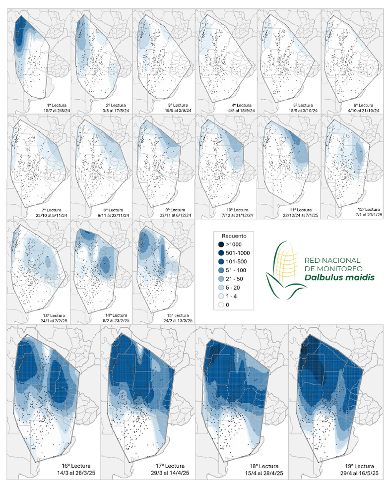 Mapa de calor establecido en función de la evolución de la cantidad de adultos de la chicharrita del maíz (Dalbulus maidis) capturados con trampas cromáticas adhesivas en las localidades relevadas desde el primer al decimonoveno informe de la Red Nacional de Monitoreo de la chicharrita del maíz.