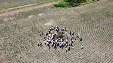 sostenibilidad agropecuaria en la region crea sudeste: un enfoque integral