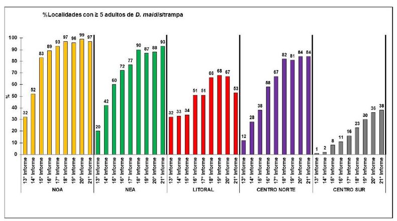 Evolución del porcentaje de localidades para cada región con cantidades ≥ 5 adultos de Dalbulus maidis/trampas. Se detalla los porcentajes para cada quincena correspondiente a los últimos informes de la Red Nacional de Monitoreo de la chicharrita del maíz.