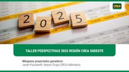 taller perspectivas 2025 region crea sudeste- margenes proyectados ganaderia