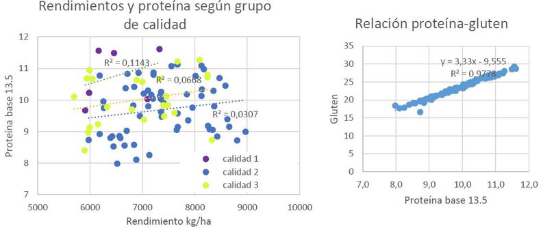 Rendimientos y proteína bruta (base de humedad del 13,5%) en todos los sitios explorados según grupo de calidad y relación proteína/gluten. Ciclo 2025/26. CREA Córdoba Norte