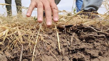 suelo y agua: la base de la produccion agricola en argentina